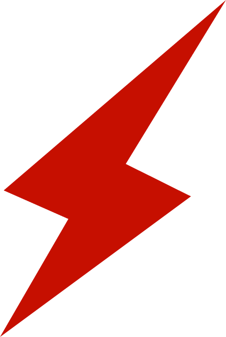 Flash bogs logo